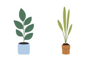 Set of indoor plants in pots. Interior or design element vector