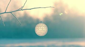 Christmas ball on tree outdoors, creative photo, new year, christmas photo