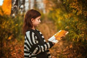 girl with freckles with a book among autumn leaves photo