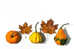 Tres diferente calabazas en un blanco antecedentes foto