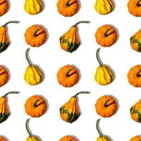 seamless pattern different pumpkins on a white background photo