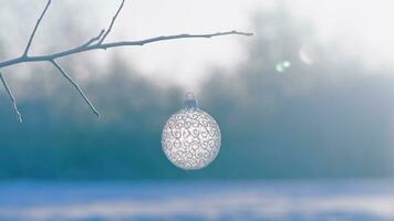 Christmas ball on tree outdoors, creative photo, new year, christmas photo