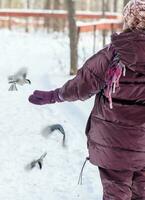 in the forest, the bird takes the seeds from his hand. feeding birds in winter. nuthatch, chickadee, titmouse photo