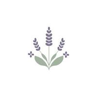 Elegant Lavender Sprig Illustration Set Against a Pristine White Background for a Tranquil Visual Experience vector