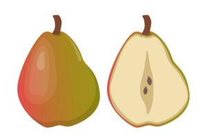 Pear whole and a half of fruit. Pear slice. Vector illustration.