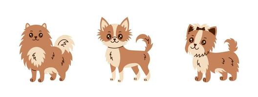 pequeño perro razas vector conjunto