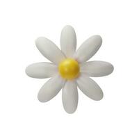 3D render daisy. Vector illustration of summer flower. Realistic fresh blossom in white and yellow color. Fresh chamomile in clay style. Botany decoration element for bouquet. Floral closeup plant