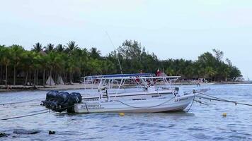 båtar yachter fartyg katamaran brygga strand playa del carmen Mexiko. video