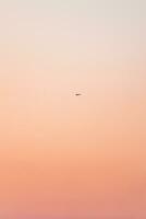 Mobile drone at work during sunset. Technological innovation in photography and aviation. Aerial view video recording. Flying device photo