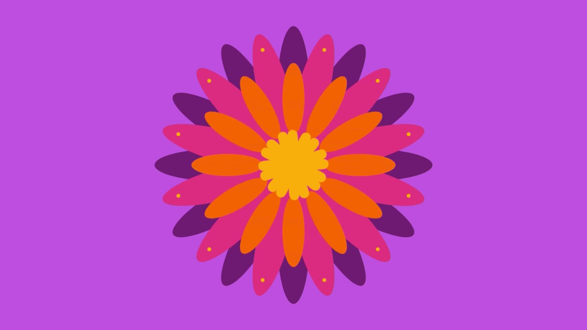 2d animated flower decoration 36202265 Stock Video at Vecteezy