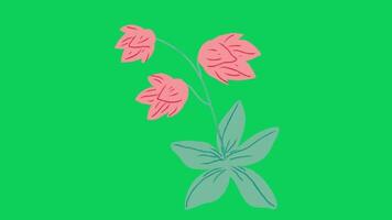 2d animiert Blume Dekoration video