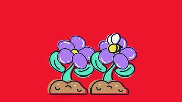 2d animated flower decoration video