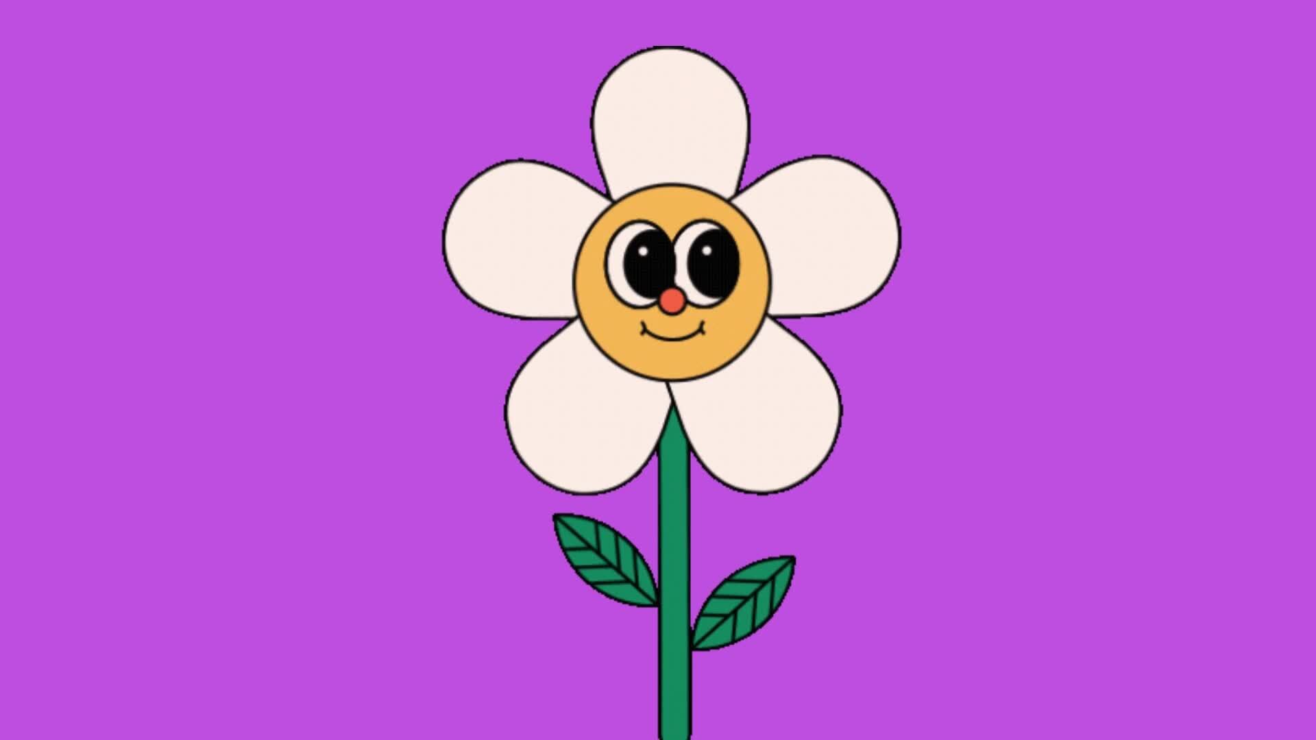 2d animated flower decoration 36202321 Stock Video at Vecteezy