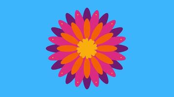 2d animated flower decoration video