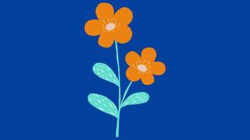 2d animated flower decoration video