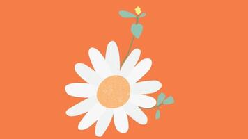 2d animated flower decoration video