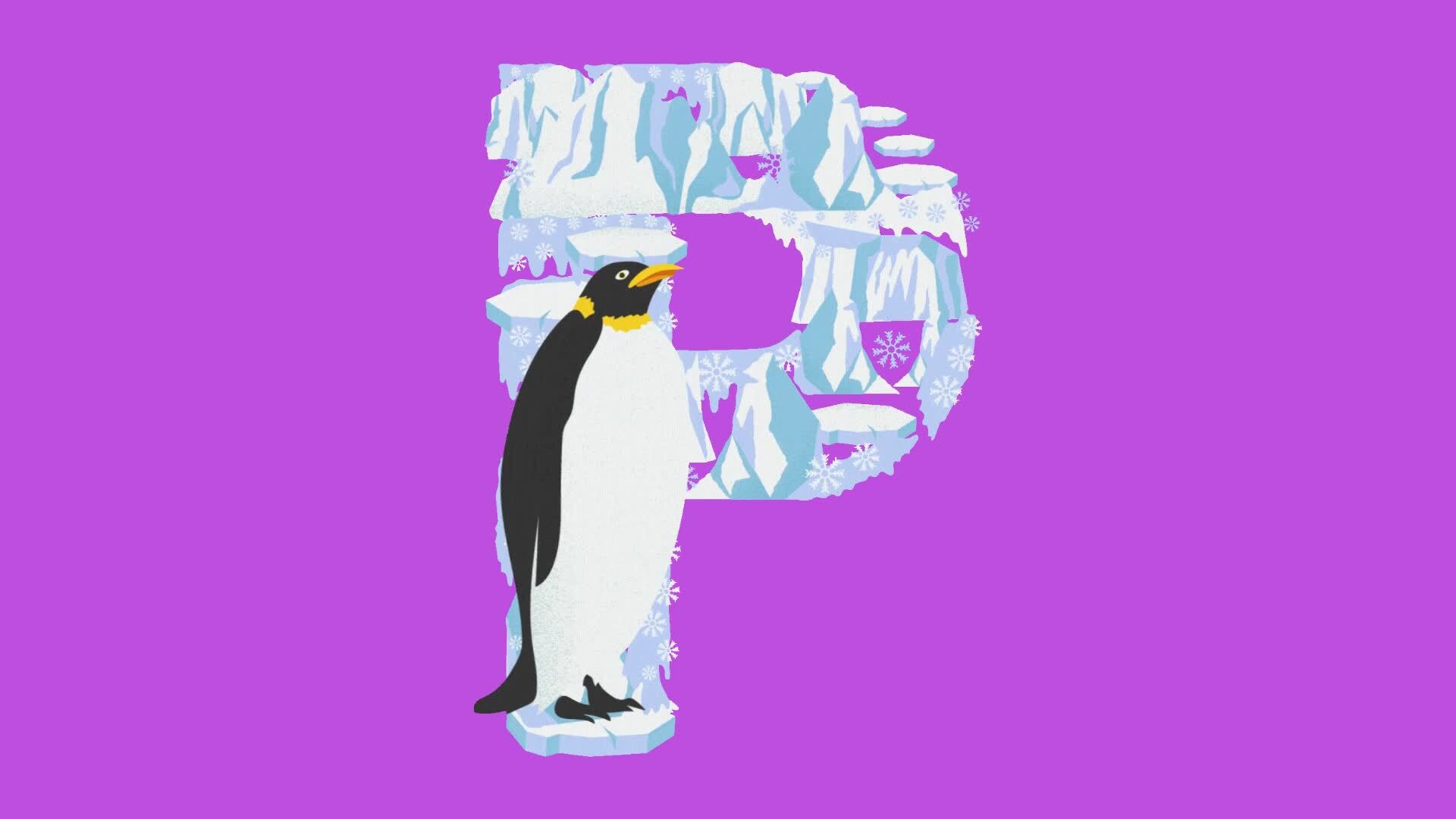 2d animated alphabet 36202815 Stock Video at Vecteezy