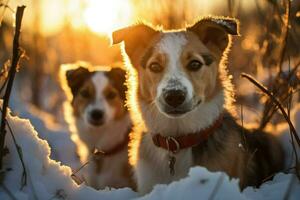 ai generado trineo perros - generativo ai foto