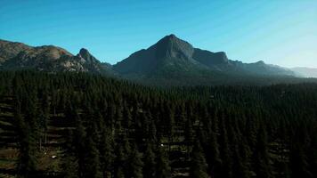 An aerial view of a forest with mountains in the background video