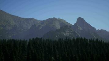 A mountain range with trees in the foreground and a blue sky in the background video