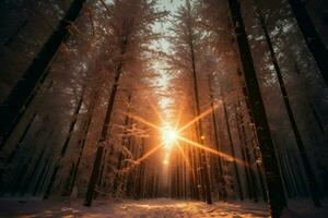 AI generated Winter Sunbursts - Generative AI photo