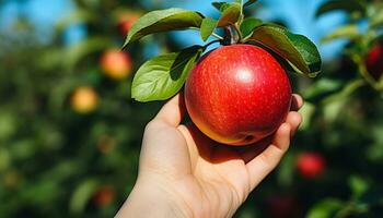 AI generated Hand holding ripe apple, symbolizing fresh, healthy eating generated by AI photo