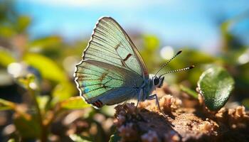 AI generated Vibrant butterfly in nature, flying with colorful wings generated by AI photo
