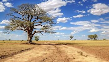 AI generated Savannah landscape, dry grass, acacia tree, blue sky generated by AI photo