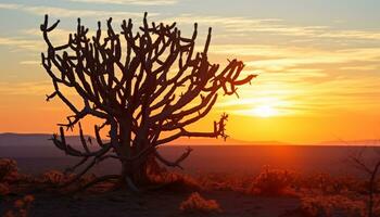 AI generated Silhouette of acacia tree in African sunset generated by AI photo