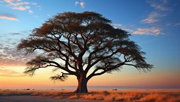 ai generado silueta de acacia árbol en africano puesta de sol generado por ai foto