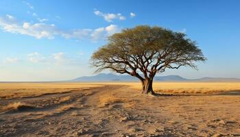 ai generado árido África, arena dunas, acacia árbol, tranquilo puesta de sol generado por ai foto