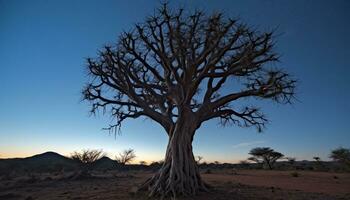 AI generated Silhouette of acacia tree on remote African savannah generated by AI photo