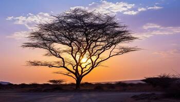 AI generated Silhouette of acacia tree on African savannah generated by AI photo