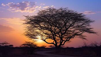 ai generado silueta de acacia árbol en contra naranja crepúsculo cielo generado por ai foto