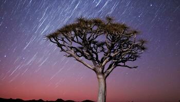 AI generated Silhouette of tree against glowing Milky Way backdrop generated by AI photo