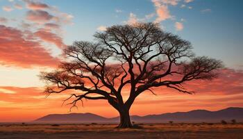 AI generated Silhouette of acacia tree in African sunset generated by AI photo