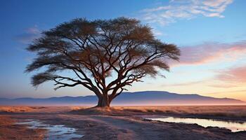 AI generated Silhouette of acacia tree against blue sky generated by AI photo