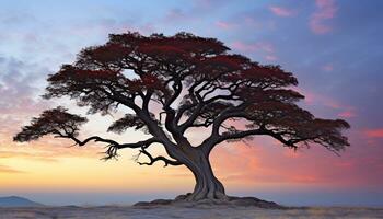 ai generado silueta de acacia árbol en contra púrpura crepúsculo cielo generado por ai foto