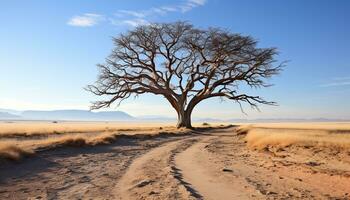 ai generado solitario acacia árbol soportes en árido africano llanura generado por ai foto