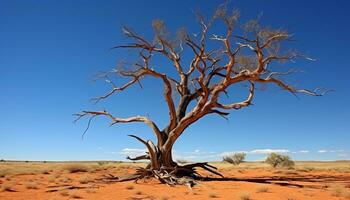 AI generated Dry sand dune in Africa, beauty in nature generated by AI photo