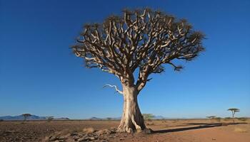 AI generated Silhouette of acacia tree on arid sand dune generated by AI photo