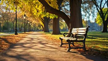 AI generated Autumn forest, yellow leaves, sunlight, tranquil bench generated by AI photo