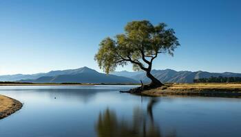 ai generado tranquilo escena de montaña reflexión en claro agua generado por ai foto