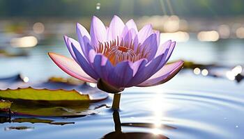 AI generated Lotus water lily, pink flower, floating on water generated by AI photo