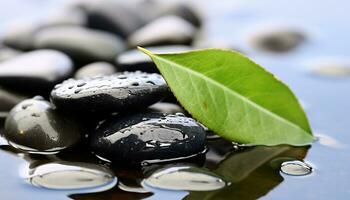 AI generated Tranquil scene of green leaf, wet pebble generated by AI photo