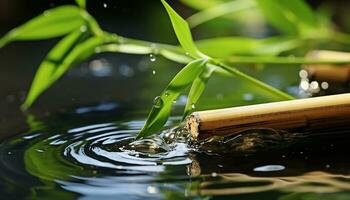 AI generated Fresh green leaves reflect in tranquil pond water generated by AI photo