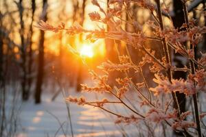 ai generado invierno rayos de sol - generativo ai foto