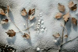 AI generated Winter Wildlife Tracks - Generative AI photo