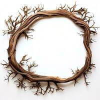 AI generated round frame made of dry tree branches on a white background photo