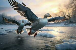 ai generado rebaño de patos volador terminado un congelado lago a atardecer, invierno tiempo, salvaje patos volador terminado un congelado río, ai generado foto